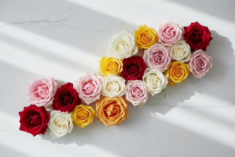 Die Bedeutung der Rosenfarben